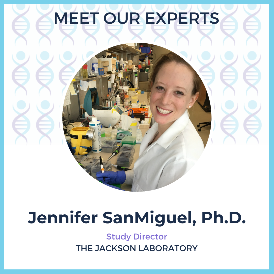 Photo of Jennifer SanMiguel, Ph.D. Study Director, The Jackson Laboratory